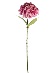 STELO 4000002091 HYDRANGEA ROSA A CESPUGLIO