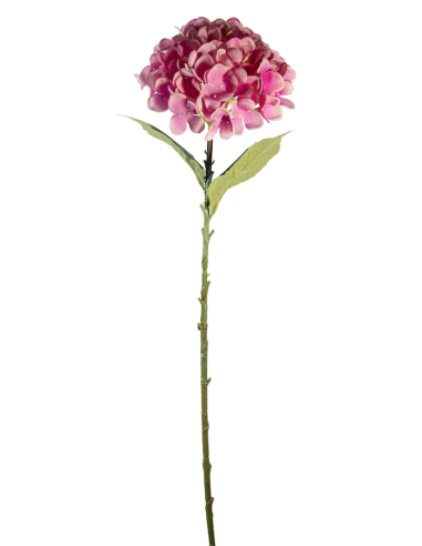 STELO 4000002091 HYDRANGEA ROSA A CESPUGLIO