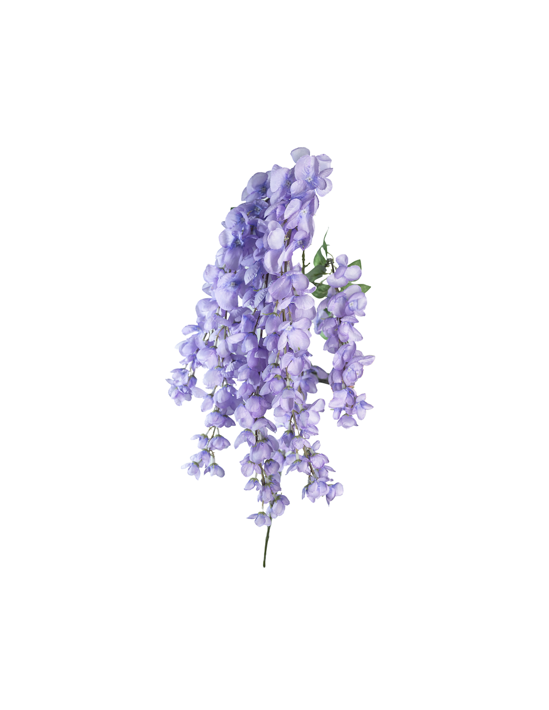 STELO 4012000417 WISTERIA LAVANDA 6 RAMI