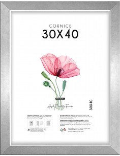 CORNICE QUADRA 30X40 ARGENTO