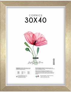 CORNICE QUADRA 30X40 ORO