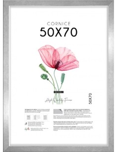 CORNICE QUADRA 50X70 ARGENTO