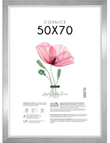 CORNICE QUADRA 50X70 ARGENTO
