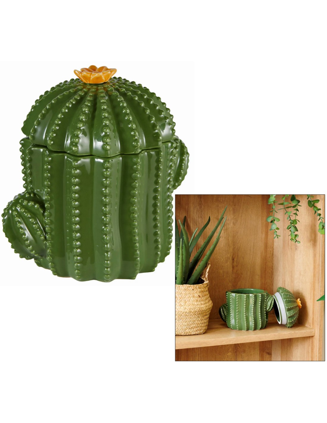 SCATOLA CACTUS 206147 YUCATAN 11X16CM CERAMICA VERDE