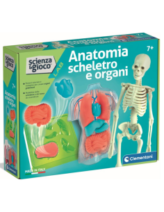 clementoni anatomia scheletro organi gioco educativo shopincasa.it