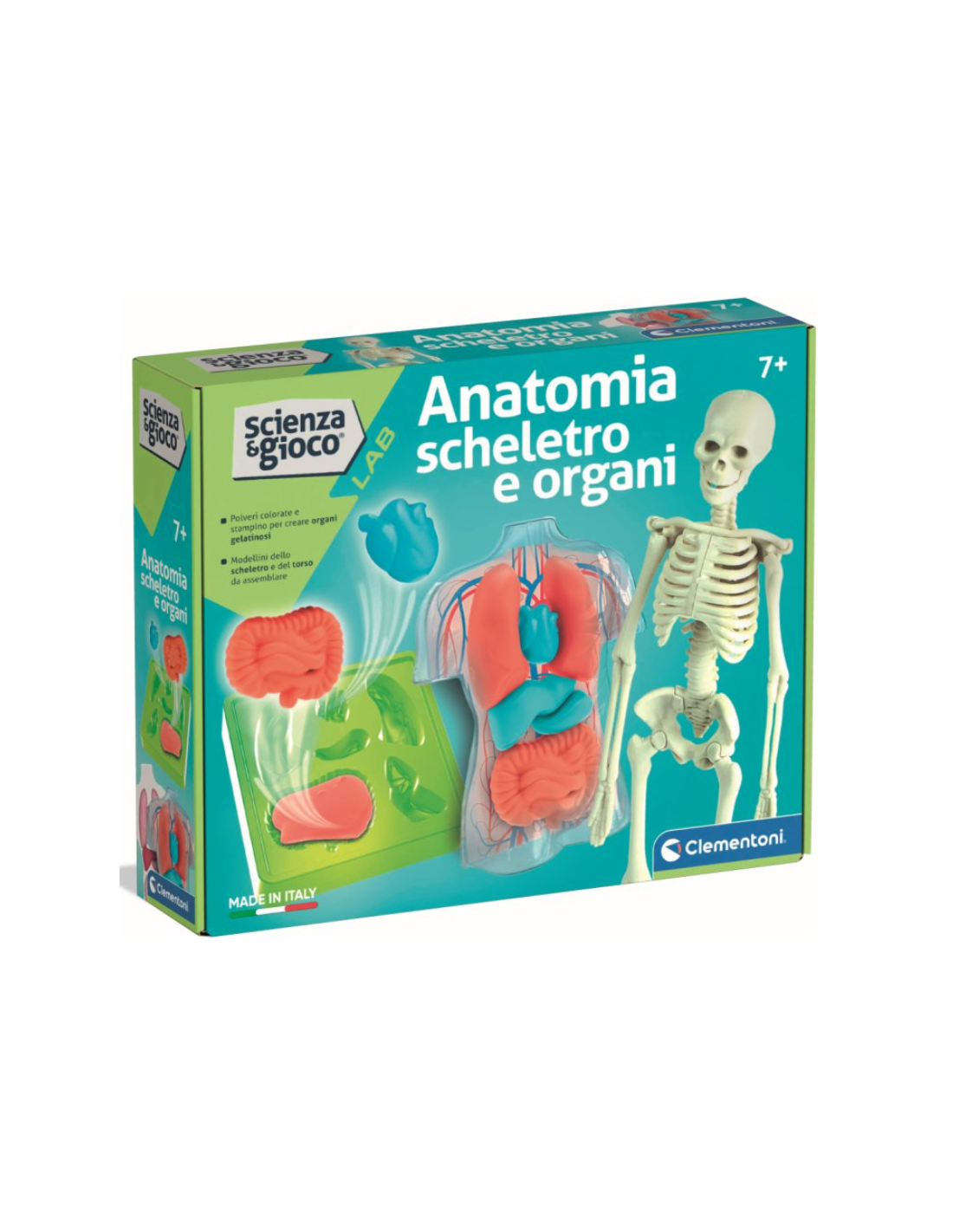 SCIENZA G.19414 ANATOMIA SCHELETRO E ORGANI