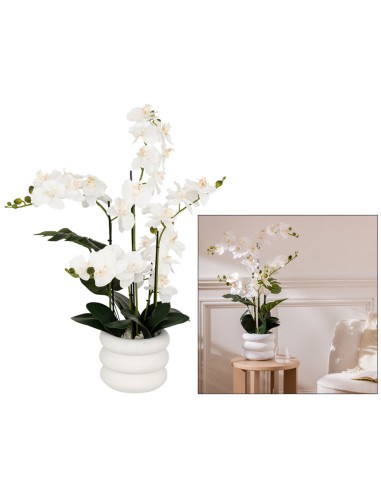 PIANTE E FIORI CON VASO: vendita online Orchidea artificiale Mick, altezza 80 cm, vaso ceramica bianco, 65 x 55 x 80 cm in of...