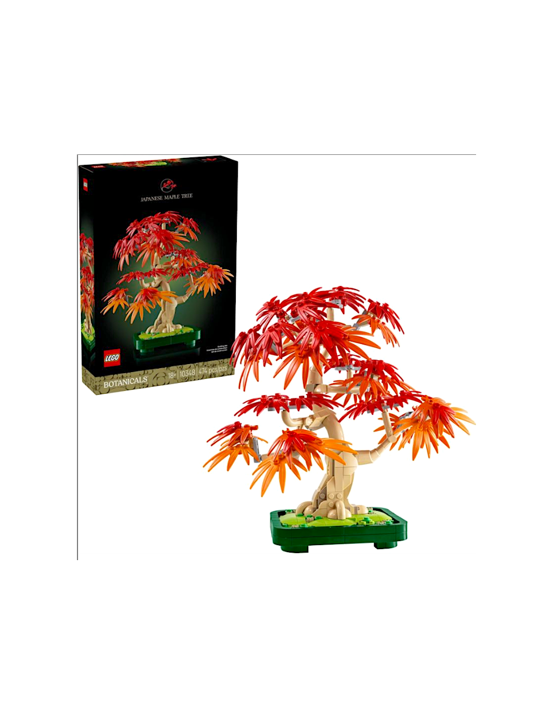 BOTANICALS 10348 BONSAI DI ACERO ROSSO GIAPPONESE