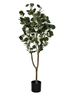 PIANTA JA212498 EUCALIPTO VERDE H120CM CON VASO