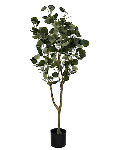 PIANTA JA212498 EUCALIPTO VERDE H120CM CON VASO