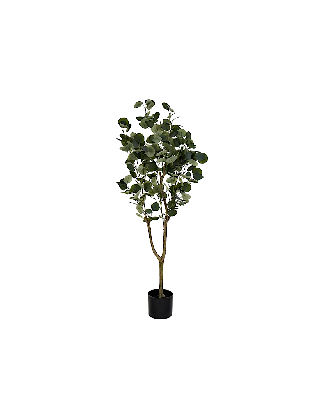 PIANTA JA212498 EUCALIPTO VERDE H120CM CON VASO