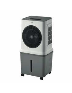 RAFFRESCATORI: vendita online Raffrescatore d'Aria, DCG VER185, 35 litri, 3 velocità, 120W, con timer 12h, Air Cooler evapora...