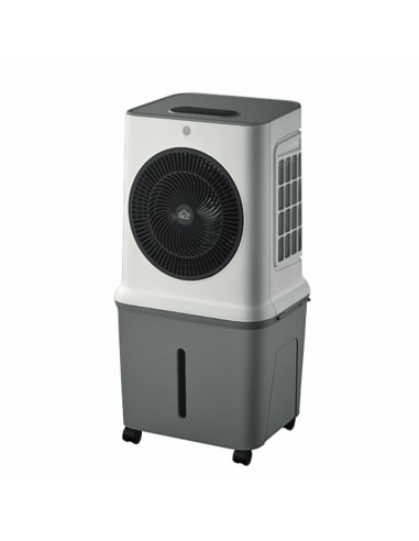 RAFFRESCATORI: vendita online Raffrescatore d'Aria, DCG VER185, 35 litri, 3 velocità, 120W, con timer 12h, Air Cooler evapora...