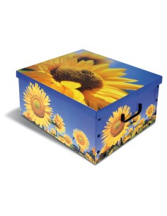 BAULE LUX ASSORTITO