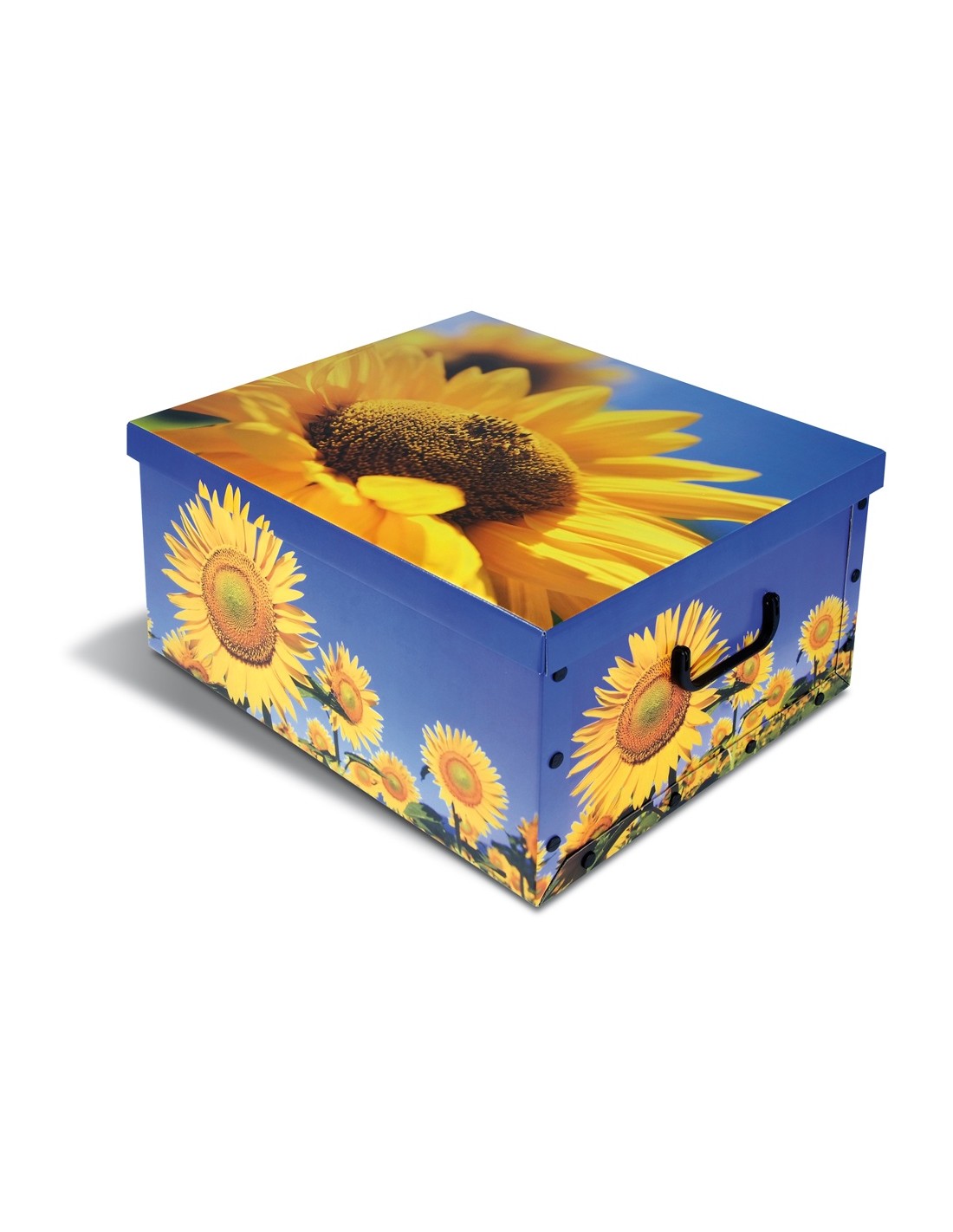 BAULE LUX ASSORTITO