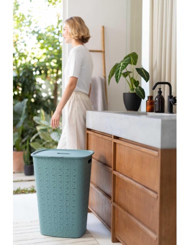 PORTABIANCHERIA: vendita online PORTABIANCHERIA VERDE DA 56LT 34X44X60CM in offerta