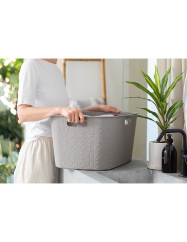 PORTABIANCHERIA: vendita online CESTA PORTABIANCHERIA 258704 TORTORA 45LT 40X60X28CM in offerta