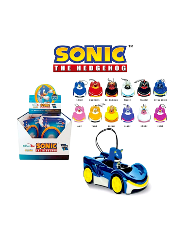 Miniveicolo Sonic assortito 10cm singolo pezzo | shopincasa.it