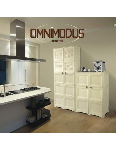 ARMADIETTI: vendita online Tontarelli Omnimodus, armadio 2 ante, 79x43x164 cm, con mensola e appendino portascope, colore ang...