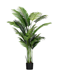 PIANTE E FIORI CON VASO: vendita online Pianta Areca Artificiale 190 cm Thun - Eleganza Naturale per la Casa e l’Ufficio in o...