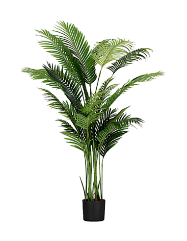 PIANTE E FIORI CON VASO: vendita online Pianta Areca Artificiale 190 cm Thun - Eleganza Naturale per la Casa e l’Ufficio in o...