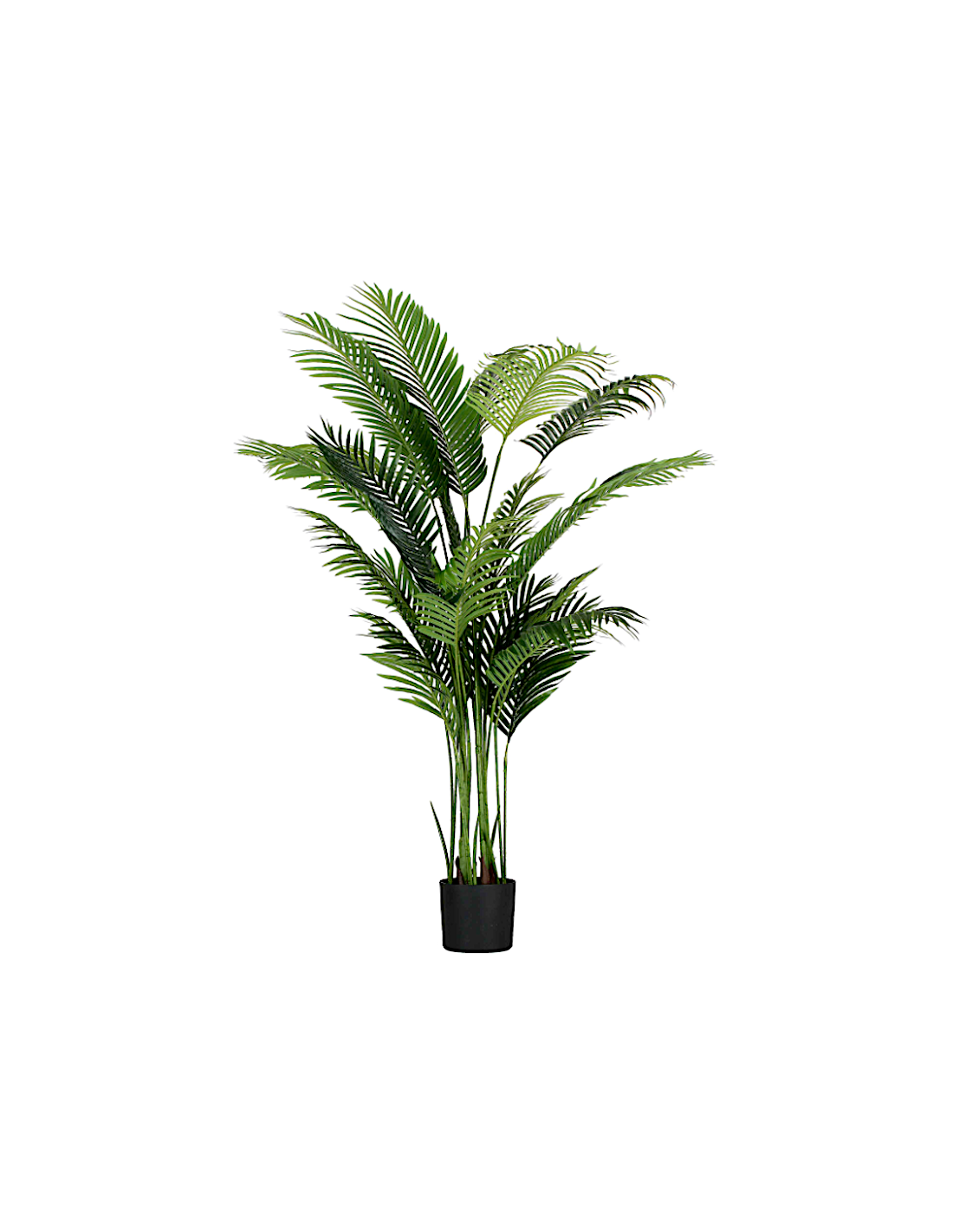 PIANTE E FIORI CON VASO: vendita online Pianta Areca Artificiale 190 cm Thun - Eleganza Naturale per la Casa e l’Ufficio in o...