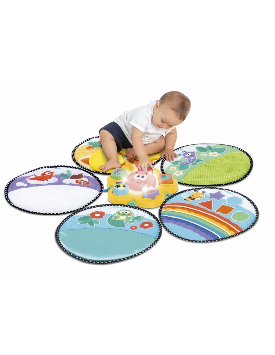 Chicco 11315 Il Sentiero delle Stagioni, Gioco Educativo per Bambini | Shop in Casa