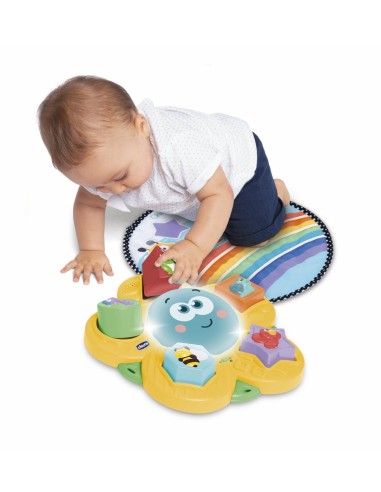 Chicco 11315 Il Sentiero delle Stagioni, Gioco Educativo per Bambini | Shop in Casa