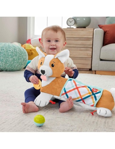 Fisher-Price Cuscino Corgi Tummy Time 3 in 1 | Shop in Casa