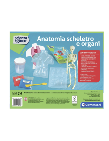 clementoni anatomia scheletro organi gioco educativo shopincasa.it