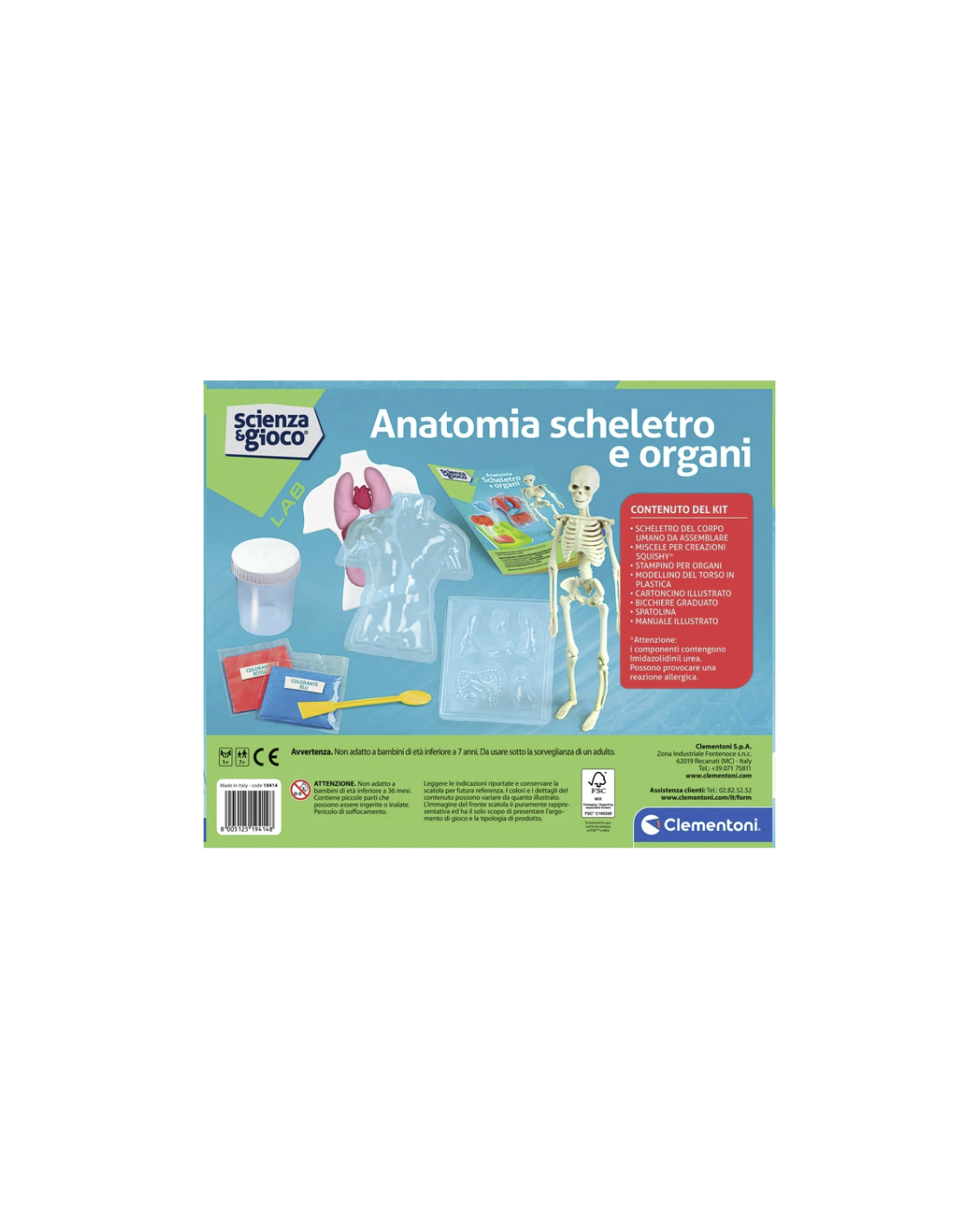 clementoni anatomia scheletro organi gioco educativo shopincasa.it