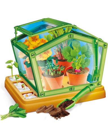 PRESCOLARI: vendita online Clementoni Serra Botanica per Bambini – Kit Scientifico con Semi, Serra e Attrezzi da Giardino in ...