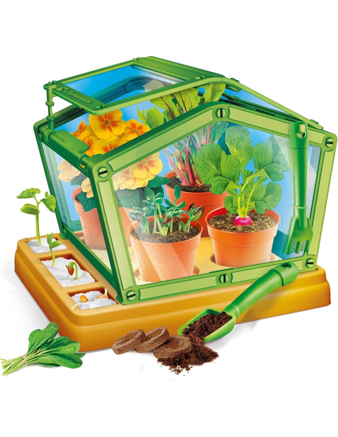 PRESCOLARI: vendita online Clementoni Serra Botanica per Bambini – Kit Scientifico con Semi, Serra e Attrezzi da Giardino in ...