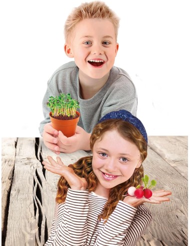 PRESCOLARI: vendita online Clementoni Serra Botanica per Bambini – Kit Scientifico con Semi, Serra e Attrezzi da Giardino in ...