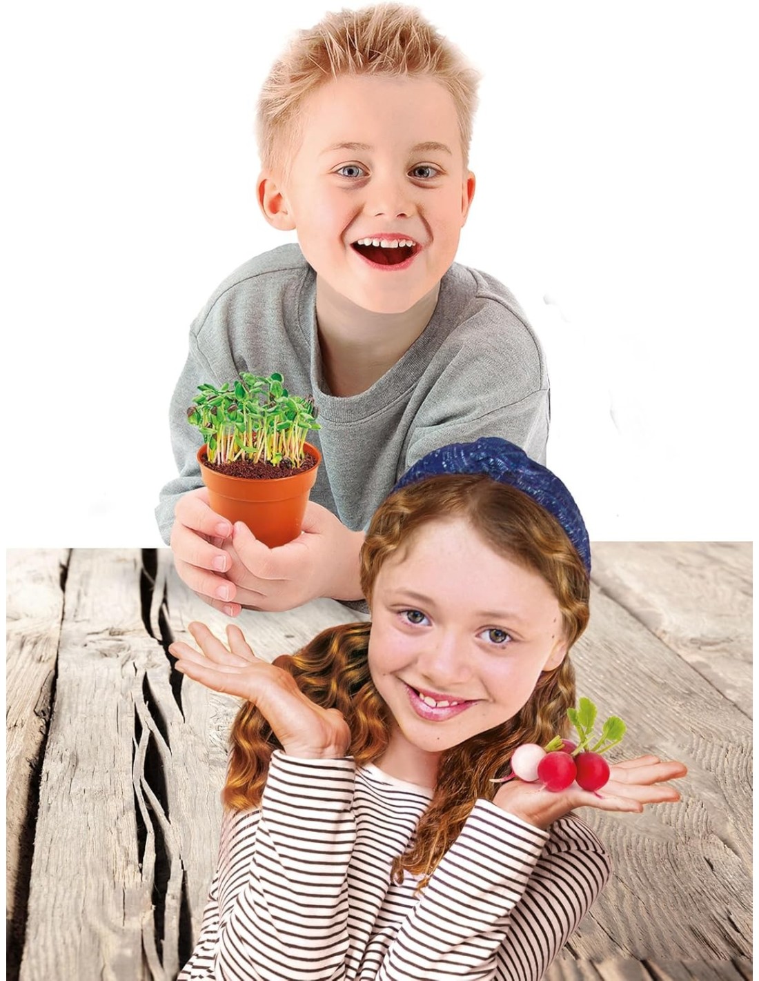 PRESCOLARI: vendita online Clementoni Serra Botanica per Bambini – Kit Scientifico con Semi, Serra e Attrezzi da Giardino in ...