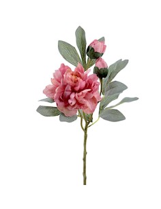 FIORE 4737-12 PEONIA ROSA CON BOCCIOLI
