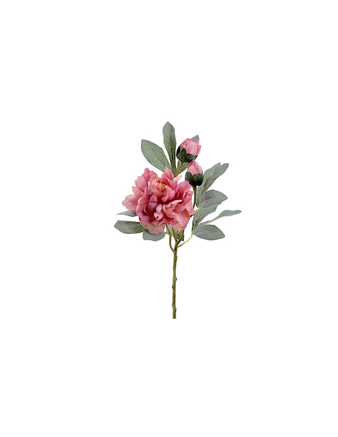 FIORE 4737-12 PEONIA ROSA CON BOCCIOLI