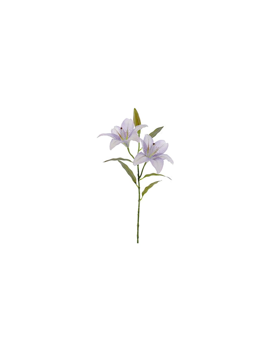 FIORE 6951-37 COPPIA LILIUM TURCHESI