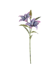 FIORE 6951-20 COPPIA LILIUM BLU/VIOLA