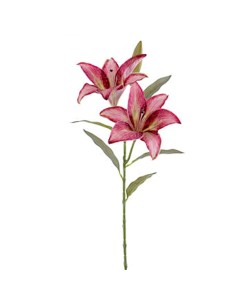FIORE 6951-77 COPPIA LILIUM GRANATO