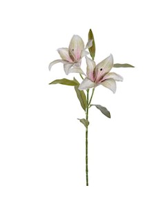 FIORE 6951-36 COPPIA LILIUM PISTACCHIO