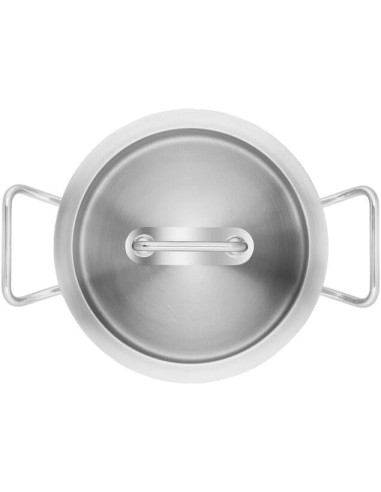 PENTOLE - COPERCHI ACCIAIO: vendita online ZWILLING Pro Casseruola Alta 24 cm in Acciaio Inossidabile – 8,1 L in offerta