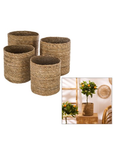 OGGETTISTICA: vendita online Set di 4 Ceste Emmet, Canna Naturale, Marrone, Ø 19 cm, Ø 21.5 cm, Ø 24 cm, Ø 27.5 cm in offerta