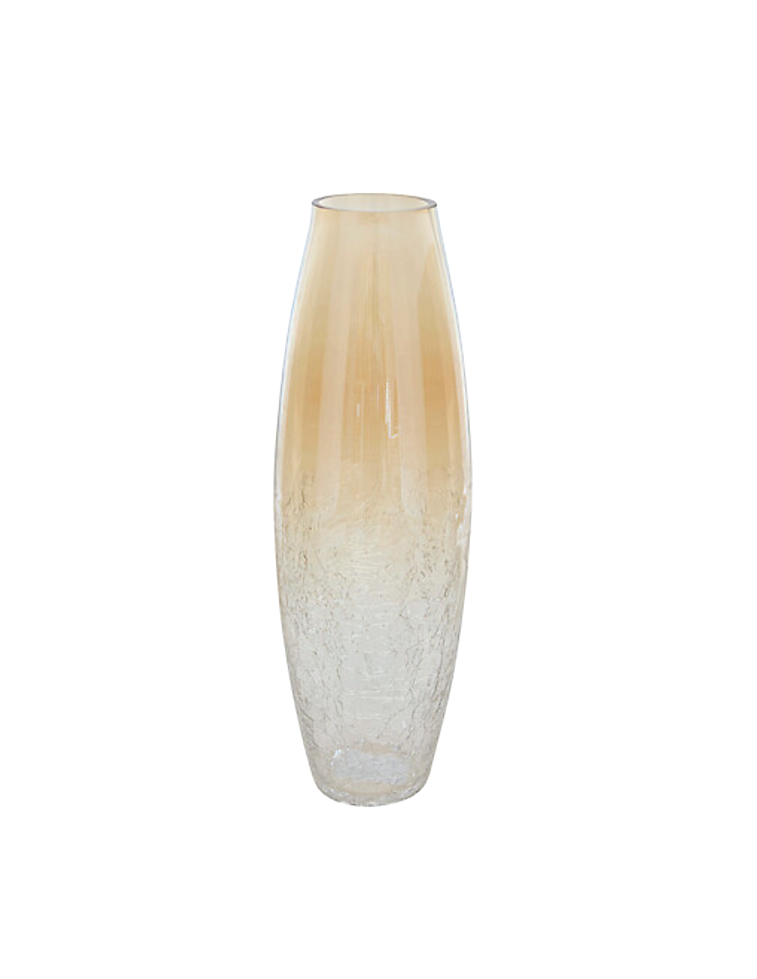 VASI D'ARREDO: vendita online Vaso, vetro craquelé, Alexis, trasparente, D.13 x H.40 cm in offerta