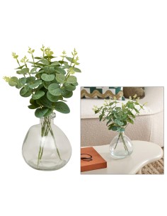 PIANTE E FIORI CON VASO: vendita online Composizione eucalipto, Urice, altezza 35 cm, vaso in vetro trasparente, 20 x 20 x 35...