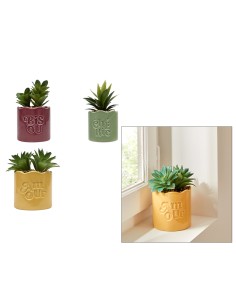 PIANTINA 210123 CHERI 13X10X14CM VASO CEAMICA ASSORTITO