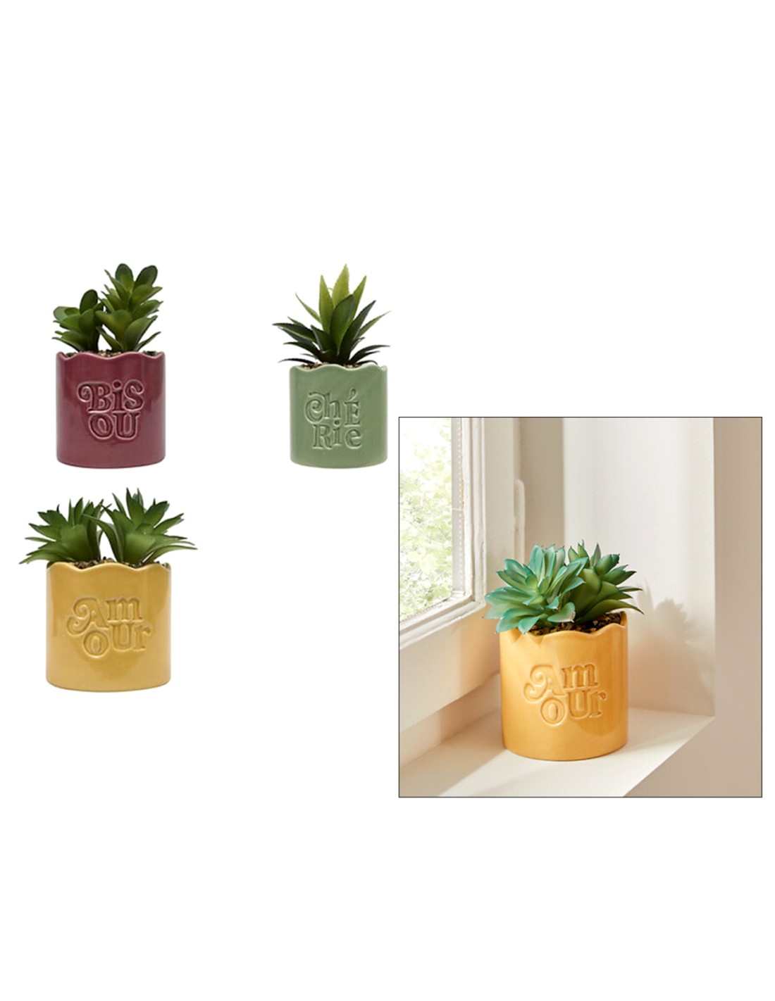PIANTE E FIORI CON VASO: vendita online Pianta perenne, Chéri, H. 17 cm, vaso in ceramica assortito, 13 x 10 x 14,5 cm in off...