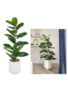PIANTA FICO 210133 SKY 58X145CM VASO CERAMICA BIANCO
