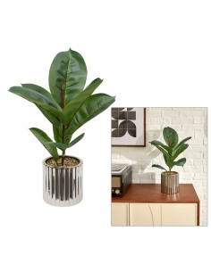 PIANTA FICO 210134 SKY 34X54CM VASO CERAMICA ARGENTO