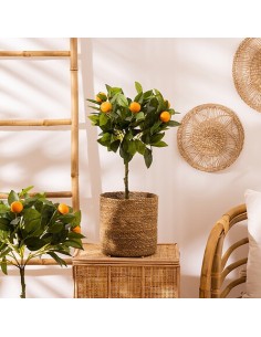 OGGETTISTICA: vendita online Set 4 ceste Emmet, canna naturale, D. 27,5 cm, cestini decorativi, marrone in offerta 2